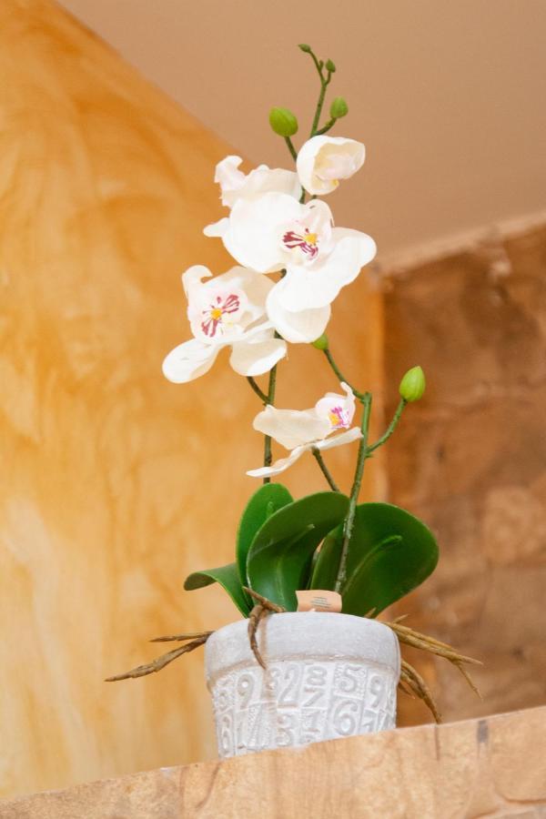 Apartamento La Veguilla Junior Alhama de Aragón エクステリア 写真